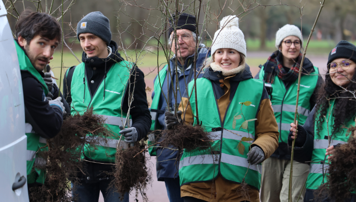 Quand arbres et oiseaux se rencontrent